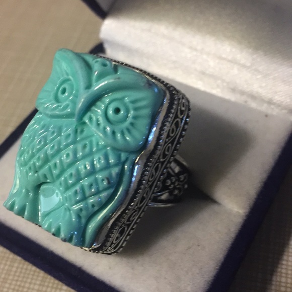 Jewelry - HOST PICK 12/30 Pretty Carved Jasper GoodLuck Owl